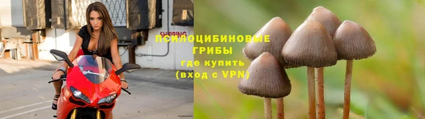 MESCALINE Заволжье
