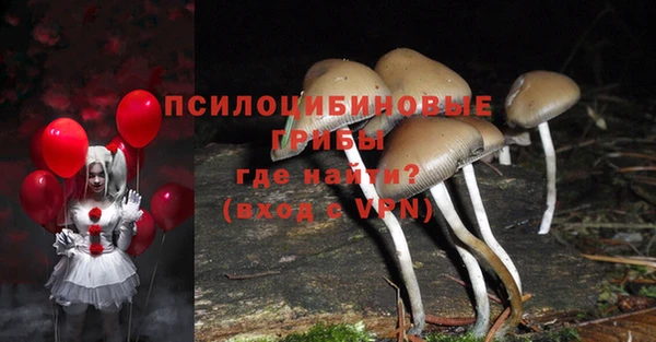 гидра Заволжск