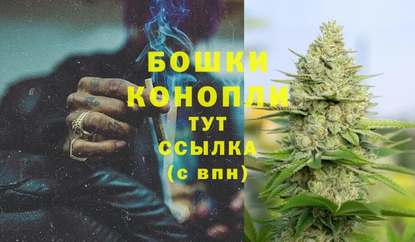 гидра Заволжск